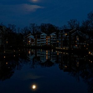 Full Moon Over the Lake.jpeg