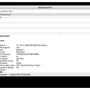 Sabrent 4TB Sysinfo.png