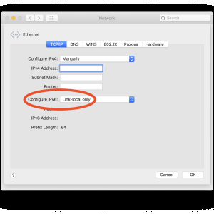 IPv6_Link-local_only.png