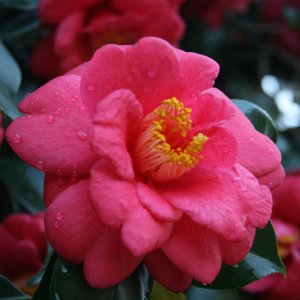 IMG_1289.JPG