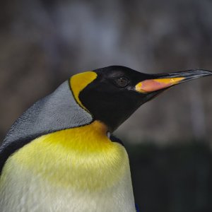 _1002220.jpg