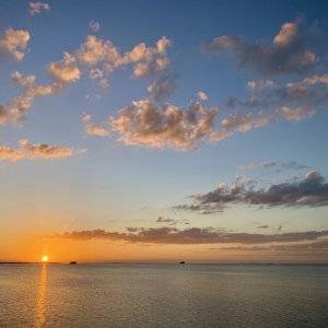 F41011FA-6F07-49AA-9B15-B9352BFB8B0C.jpeg