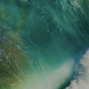 51EF83B3-6F93-47CB-970E-6FFD24BED119.png