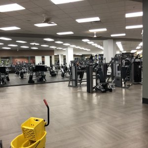 IMG_3257.jpeg