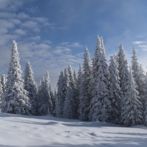 mt_spokane_snowshoe-20200216.jpg