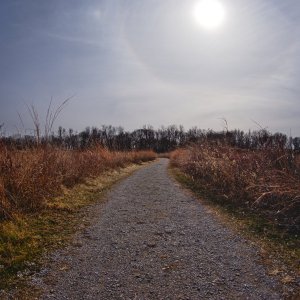 _1002502.jpg