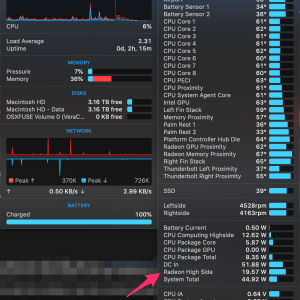 Radeon High Side with Dell P2415Q- Catalina 10.15.4 Beta 2.png