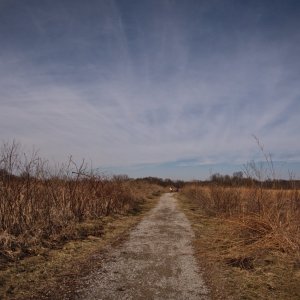 _1002500.jpg
