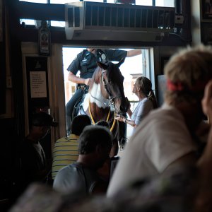 HORSENEEDSBEER2-gigapixel (1).jpg