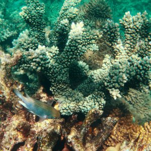 IMG_3187_polarr.jpeg