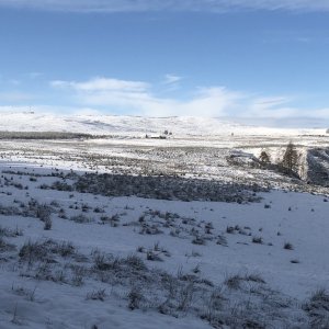 IMG_6104.jpg