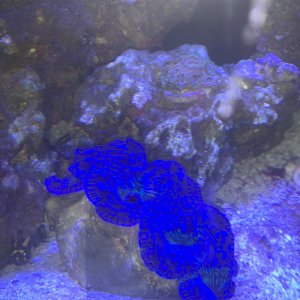 1C337A24-2827-4070-857A-DECCCE83F706.jpeg