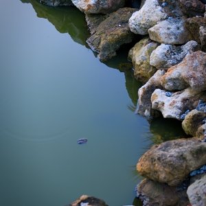 A27F0CF6-973F-4651-853A-8C1E6311F2F4.jpeg