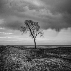 DSC_0019crop BW.jpg