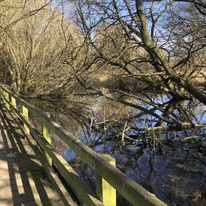 IMG_0915.jpeg