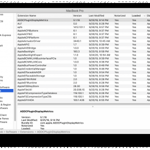 Screen Shot 2020-03-25 at 10.47.47 AM.png