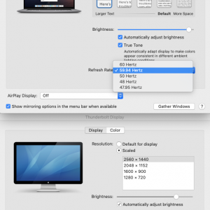Screen Shot 2020-03-28 at 3.51.47 PM.png