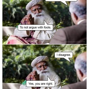 dont argue with fools meme.jpg