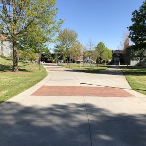 IMG_3654.jpeg