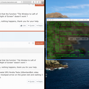 Screenshot 2020-04-14 at 10.42.55.png