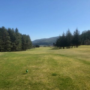 IMG_6327.jpg