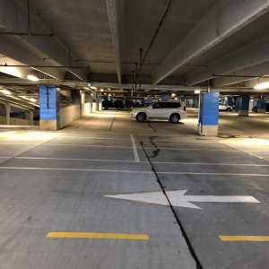 IMG_3824.jpeg