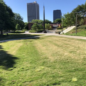 IMG_3864.jpeg