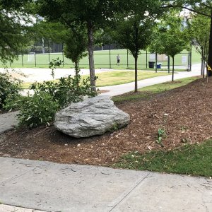 IMG_3849.jpeg