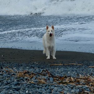 DSCF9350.jpg