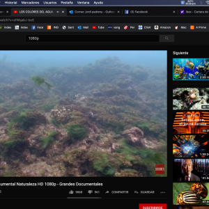 Captura de pantalla 2020-05-15 a las 18.33.24.png