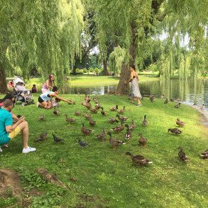 IMG_0166.jpeg