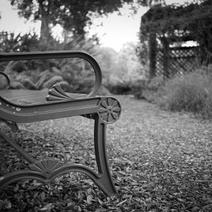 7F786811-1D7C-40BE-8AEB-B777F80535C8.jpeg