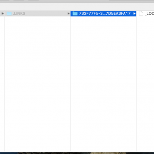 Screen Shot 2020-05-27 at 2.03.05 PM.png