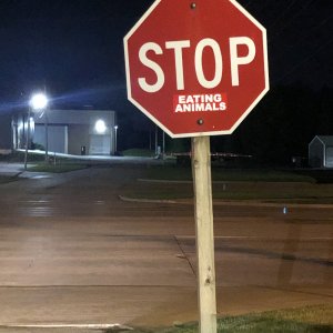 041977AE-7082-41FE-8E69-8D0E9CEA7B26.jpeg