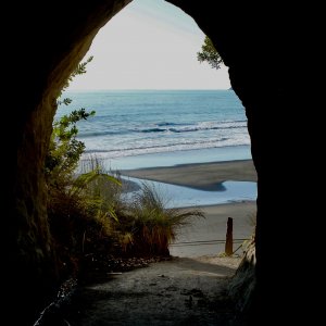 Waikawau Beach.jpg