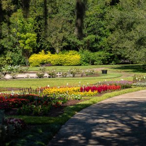 leu gardens 5-2020 2500px-23.JPG