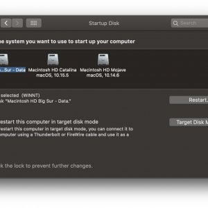 Catalina Startup DIsk.jpg