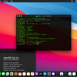 BigSur csrutil auth root enabled but mount works.png