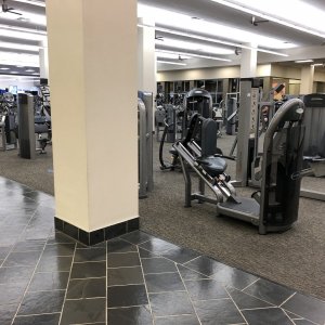 IMG_4555.jpeg
