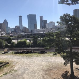 IMG_4536.jpeg