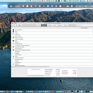 Screen Shot 2020-06-30 at 9.21.44 AM.png