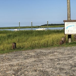 IMG_4632.jpeg