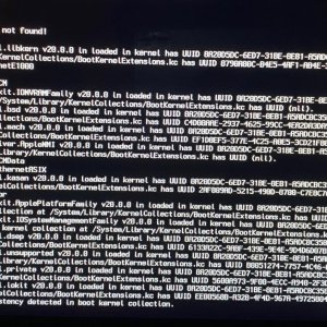 boot2.jpg