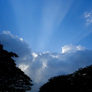 IMG_4238.jpeg