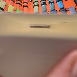 IMG_3447.jpeg