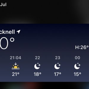 3E6C6C19-311F-48BA-AAC1-C7C4E02B3054.jpeg