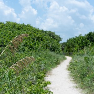 Ft Pierce Inlet - 2500px-12.JPG