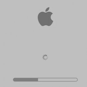 example EFI firmware update.jpg