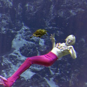 Mermaid redo-2500px.jpg
