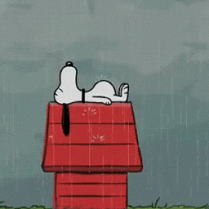 6186C30F-916E-489F-8818-D6E4DD65EA3B.gif